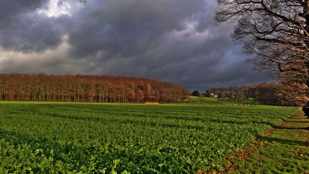 Unglaubliche Farben im Januar. by Willi Prinz