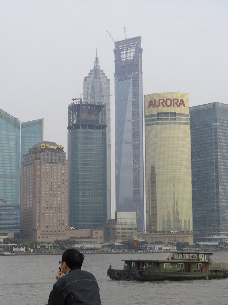 Shanghai Financial Centre (under construction) by RogerSmith