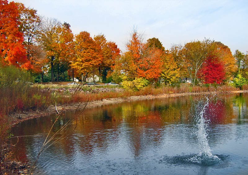 Splash of water and Autumn by David Zástráspás