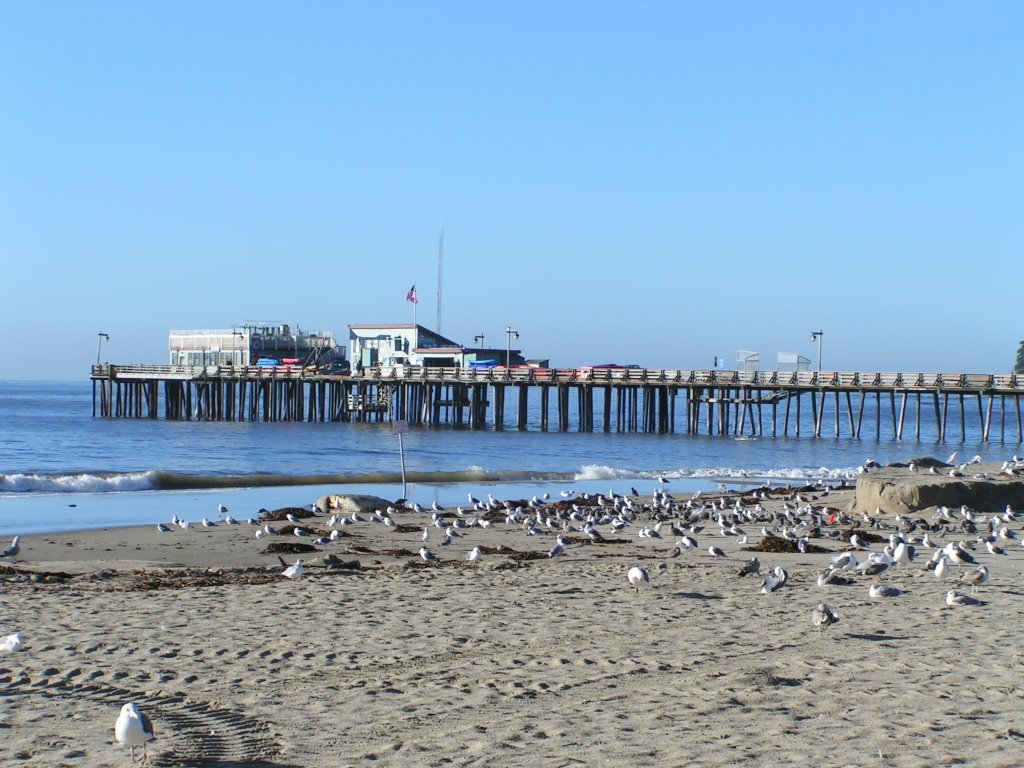 Capitola Pier by ranovak