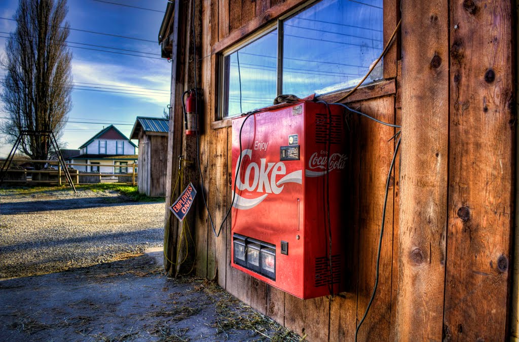 Inside the barn at Milner Feed and Pet Supply, Langley, BC, December 4, 2011 by gmisseghers