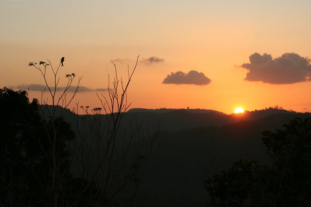 Sunset over the rainforest by Örjan Ekeberg