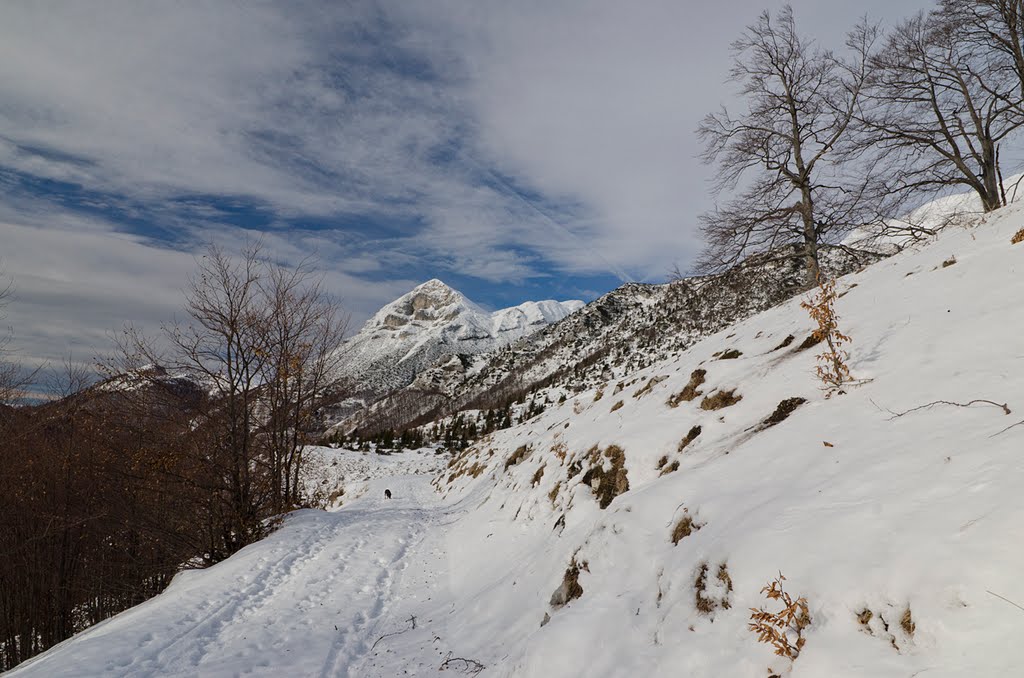 Planina Razor by bojan79m