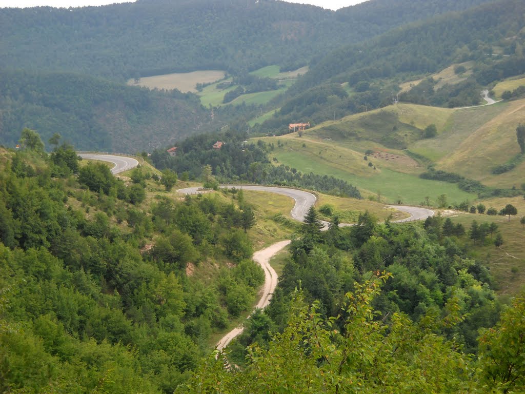 Monte Nerone - Tornanti - Agosto 2010 by The Red