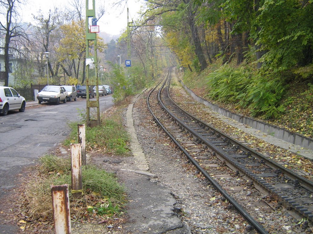 Fogaskerekű a hegyekben by valvers