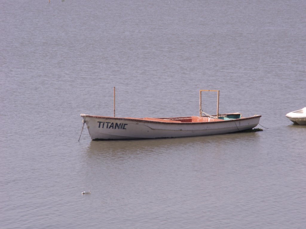 No iceberg on Lake Chapala, just aquatic weeds. by Richard Jensen