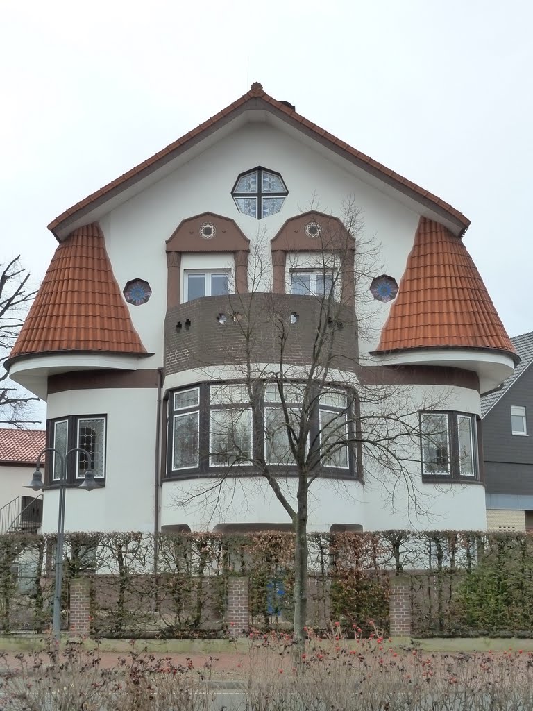 Germany, Lamspringe, just a nice house by aurorajolanda - NO VIEW!