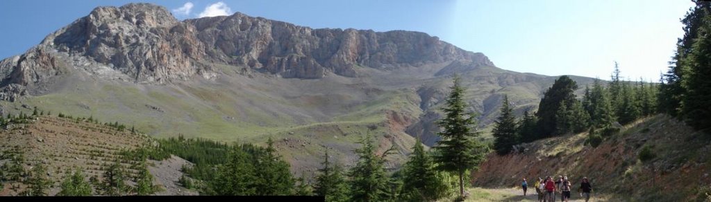 ÇAMLIYAYLA-KOZPINARI MEVKİ...PANORAMİK by mustafator