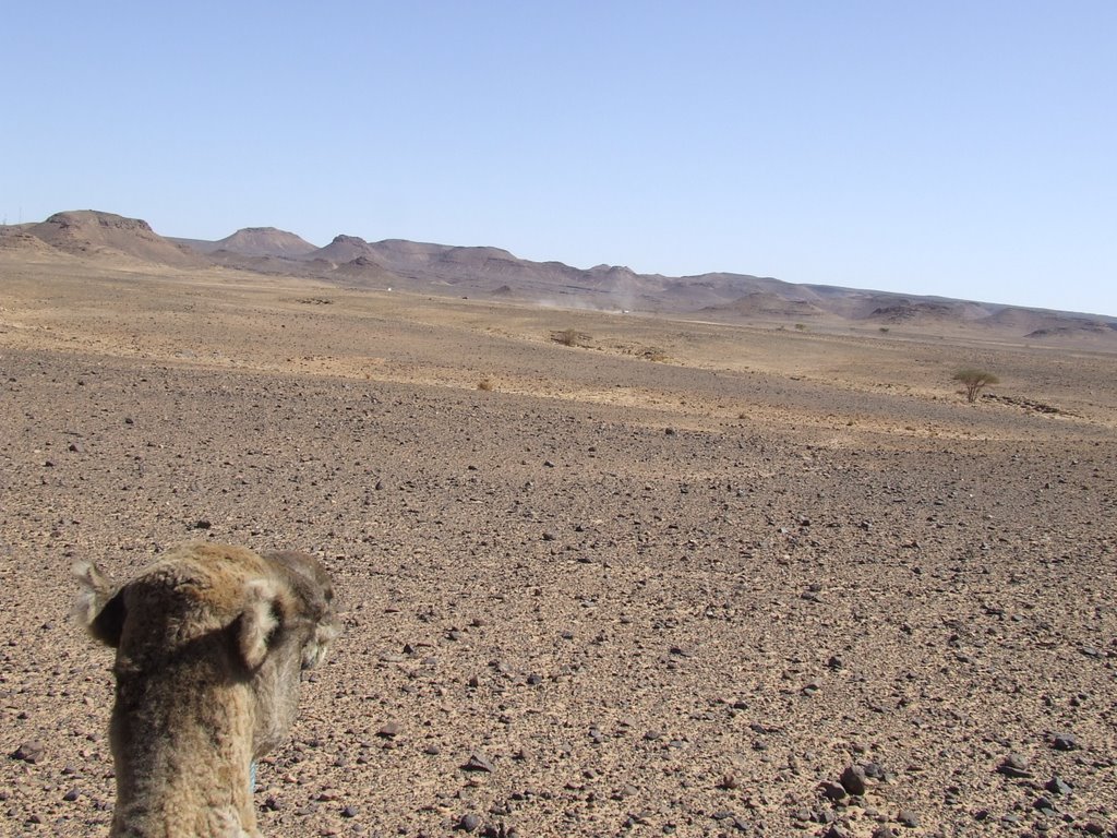 Amazraou, Morocco by ballenato