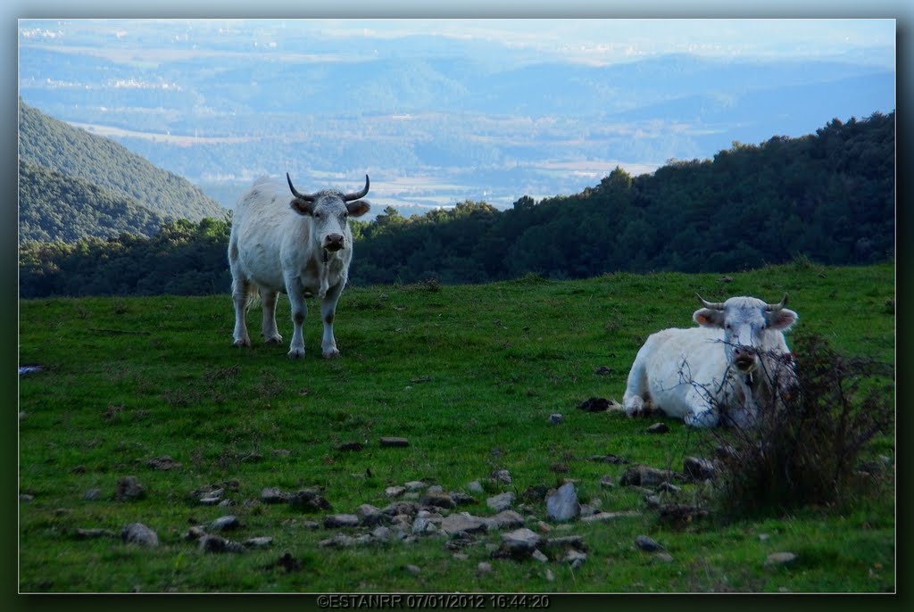 Alta GARROTXA - 7224_hf by © ESTANRR