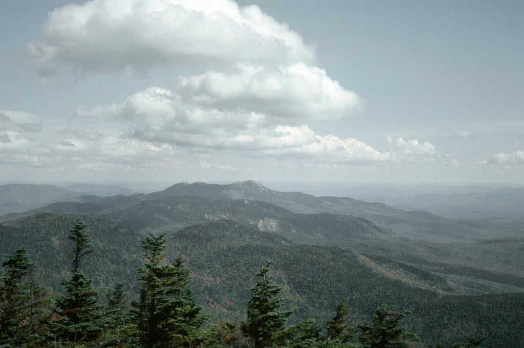 Passaconaway Foliage, White Mountains National Forest, 1970 by catemills