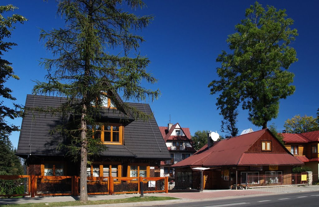 Zakopiański styl w architekturze. Zakopane Bystre. by halinaolga