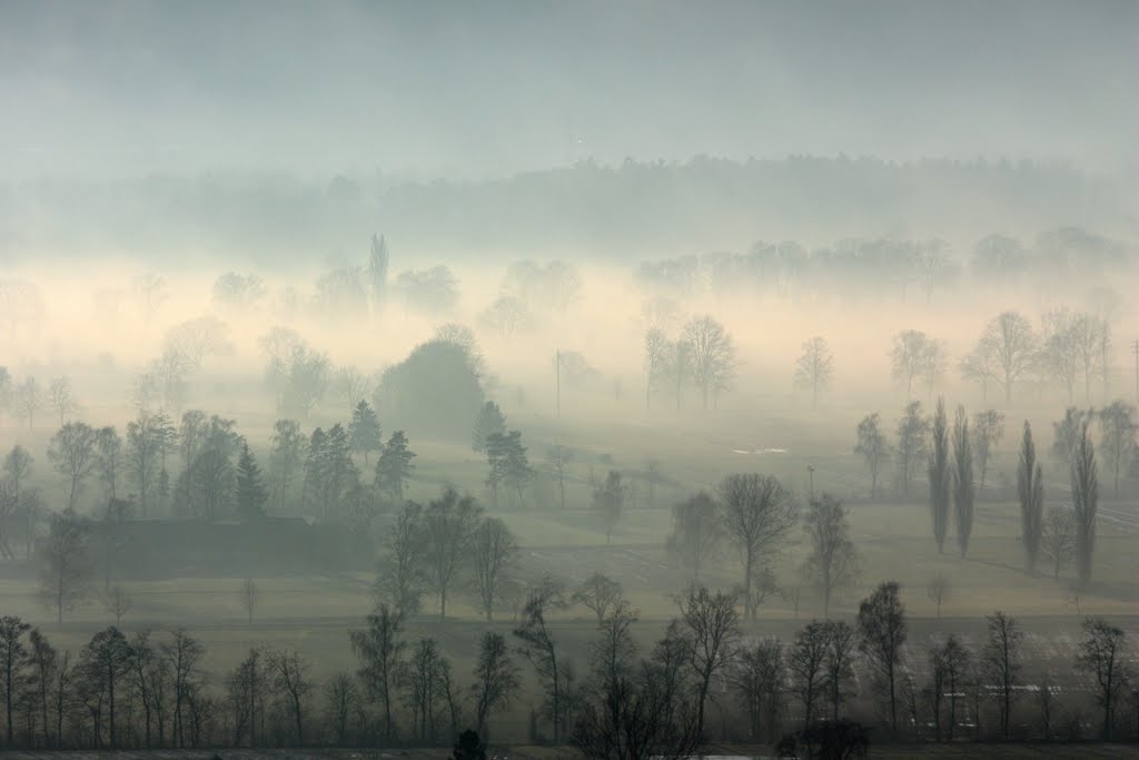 Mist - in the middle of nowhere by Kurt Schwendinger  www.bestimage4u.com