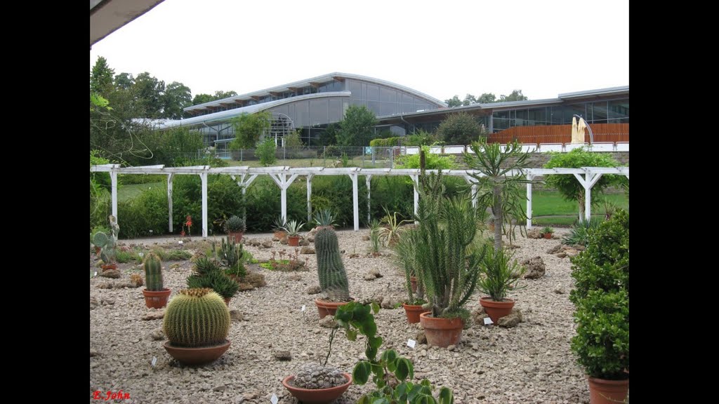 Bad Langensalza, Botanischer Garten by Eckbert John