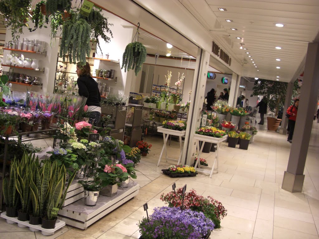 A beautiful flower-shop by Mona Lygre