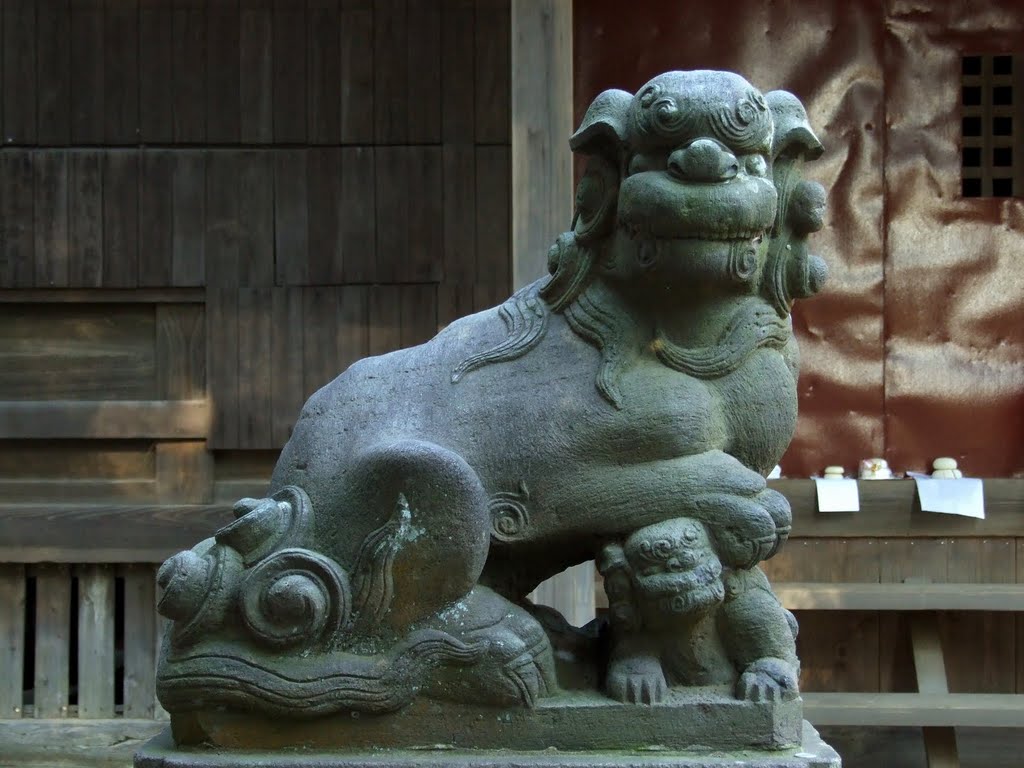 船橋市飯山満町１丁目 神明神社の狛犬（吽） by jogunata