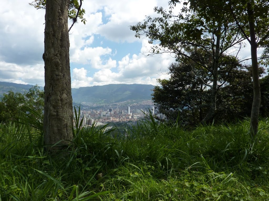 Centro de Medellín desde el Cerro El Volador by luchogu