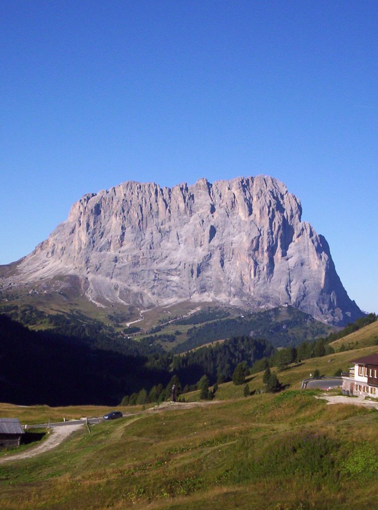 Sassolungo da Passo Gardena by Nicolas Bortolazzi