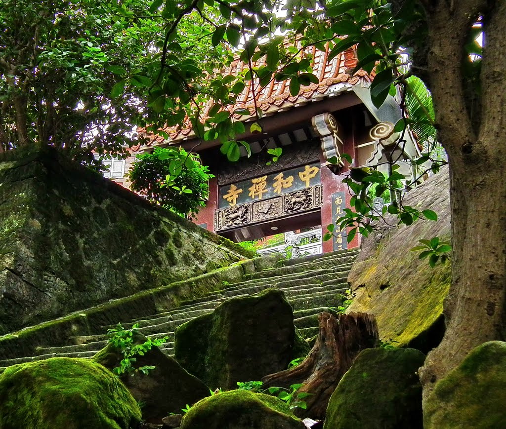 中和禪寺 Zhonghe Chan Temple by deekew