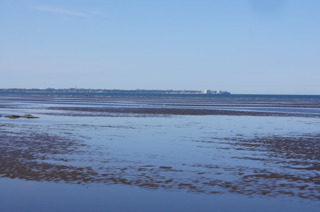 Moreton Bay at Arthur Davis Park by robsonap