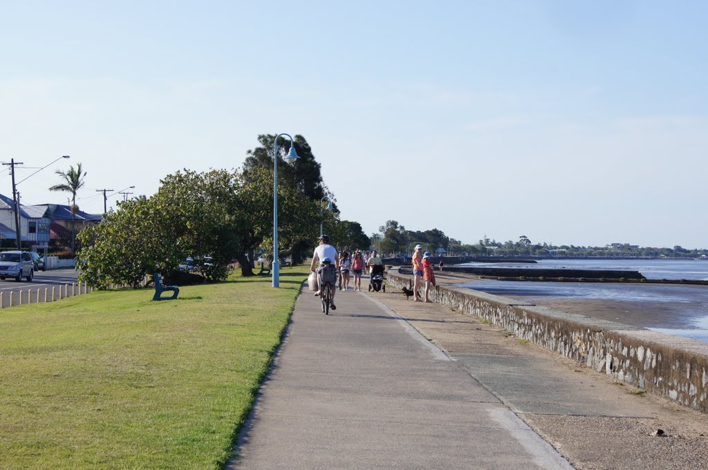 Walkway at Arthur Davis Park by robsonap