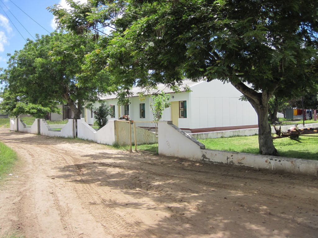 White houses with trees in front by Charles Vrey