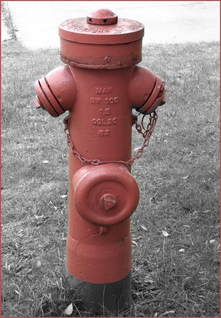 Hydrant in der Waldstraße, November 2009 by Dan-Fan