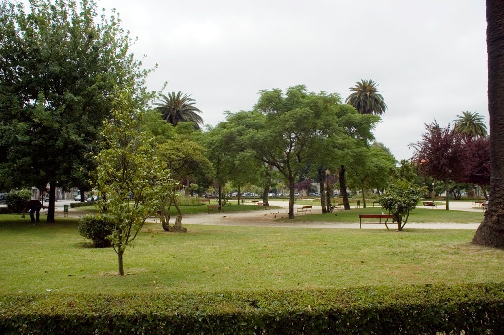 Jardim de Teófilo Braga, Praça da República, Porto, Portugal by Seref Halicioglu