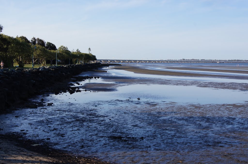 Moreton Bay at Arthur Davis Park by robsonap