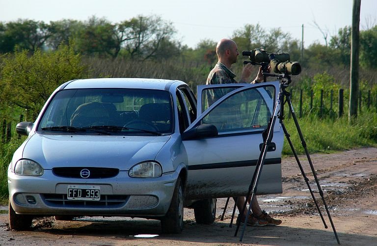 Near road birding by LeBoque