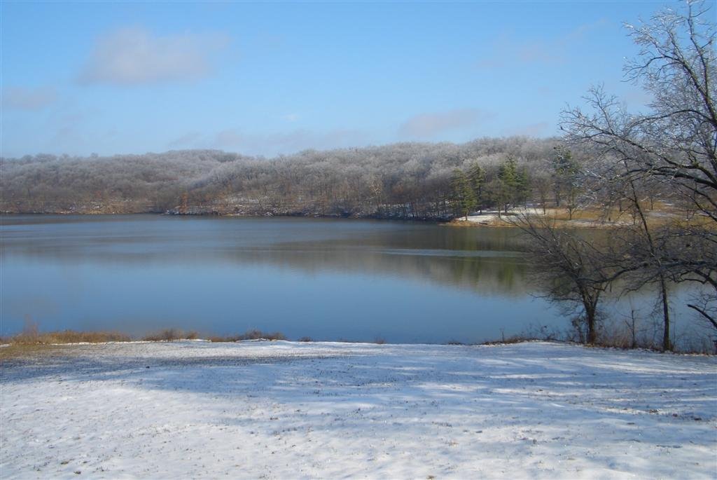 Wyandotte County Lake, iced-over trees, Kansas City, KS by marnox1