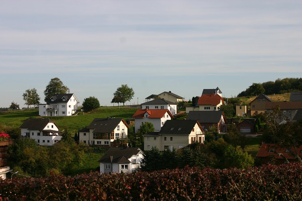 Gackenbach, Ortsansicht by Dieter Wick