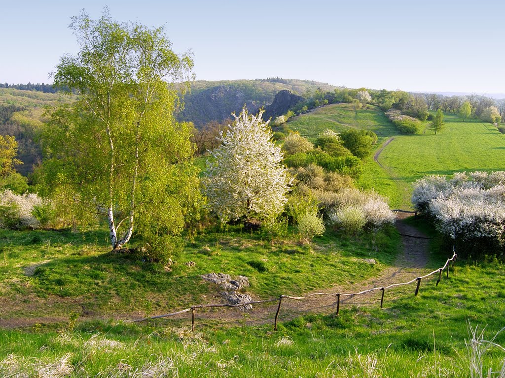 Jarní výhled Na Kozákově skále - Spring view from Kozáks rock by Tomas K☼h☼ut