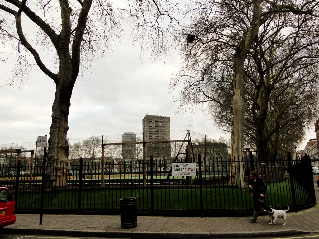 Vincent Square, London, UK by Caio Graco Machado