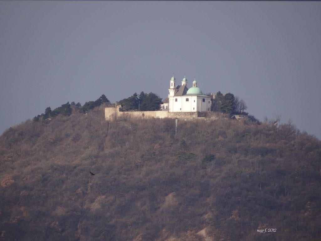 Am Leopoldsberg by nagy f.