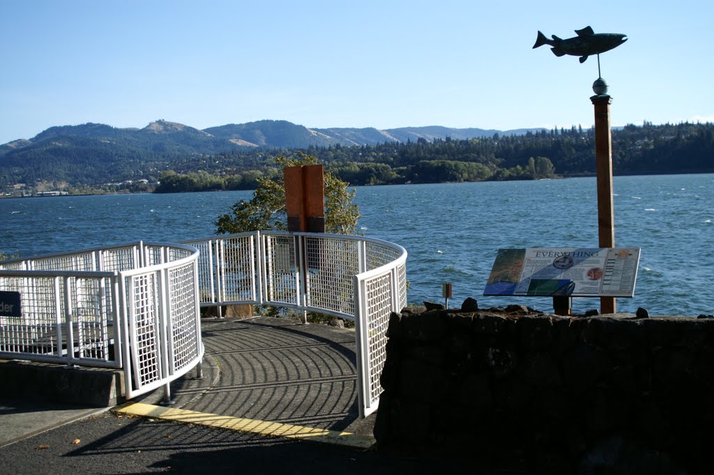 Near Underwood, WA: View S, Spring Creek National Fish Hatchery, Human Entrance to Salmon Ladder, 2008 by tceng