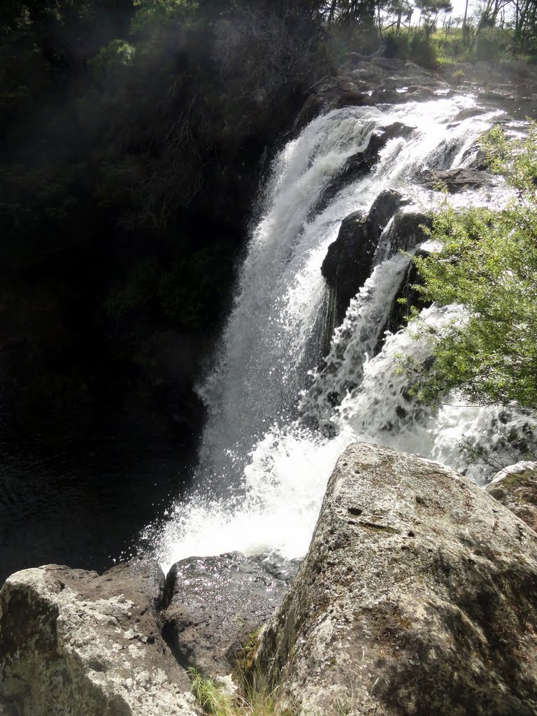 Rainbow Falls, Kerikeri by Jean Bize