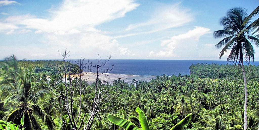 Canliwag Cove (NE, 2005) by Ronnie Muring