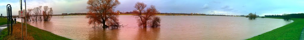 Hochwasser in den Rheinauen bei Duisburg-Baerl am 8.Januar 2012 by giggel