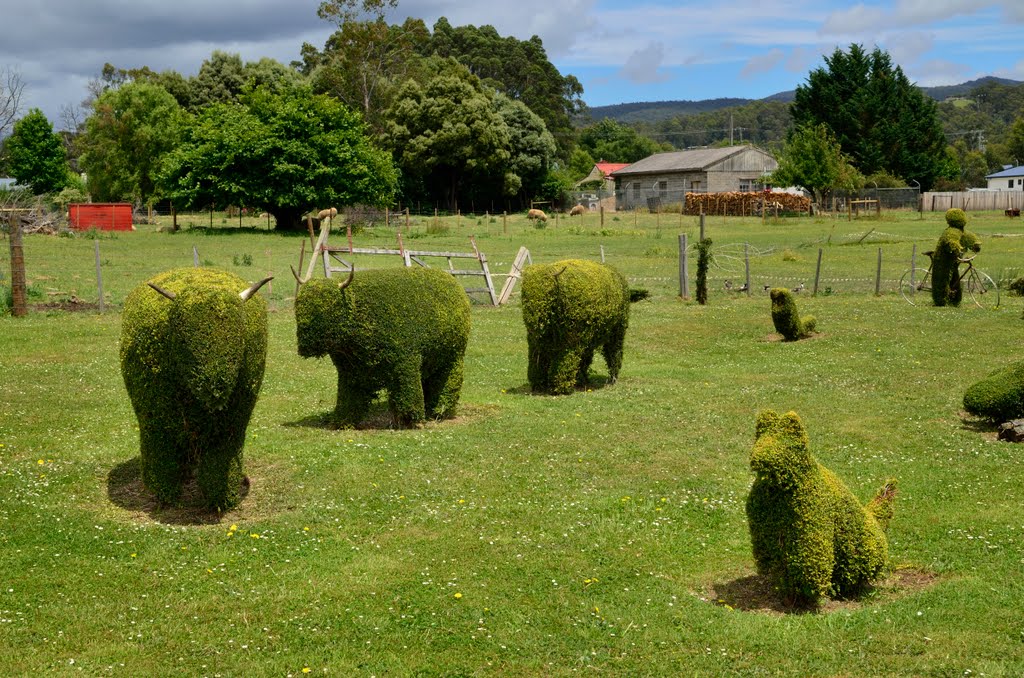 Topiary Cattle by CraigWS