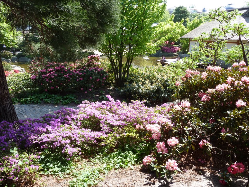 Hamburg,In Baurs Park Blankenese, by lopit