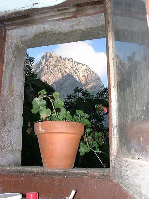 Maceta en ventana by La Casa del Chiflón