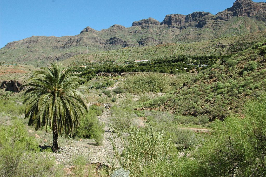 Gran Canaria by Ben de Graaf Bierbrauwer