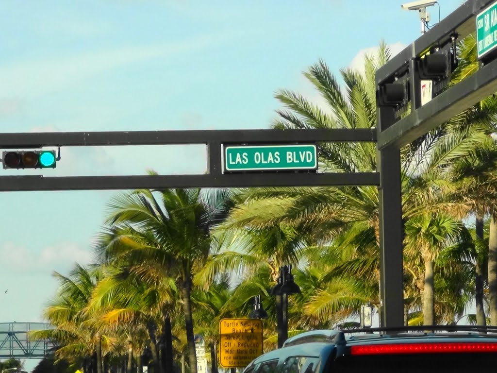 Las Olas BLVD by Peaceofmind