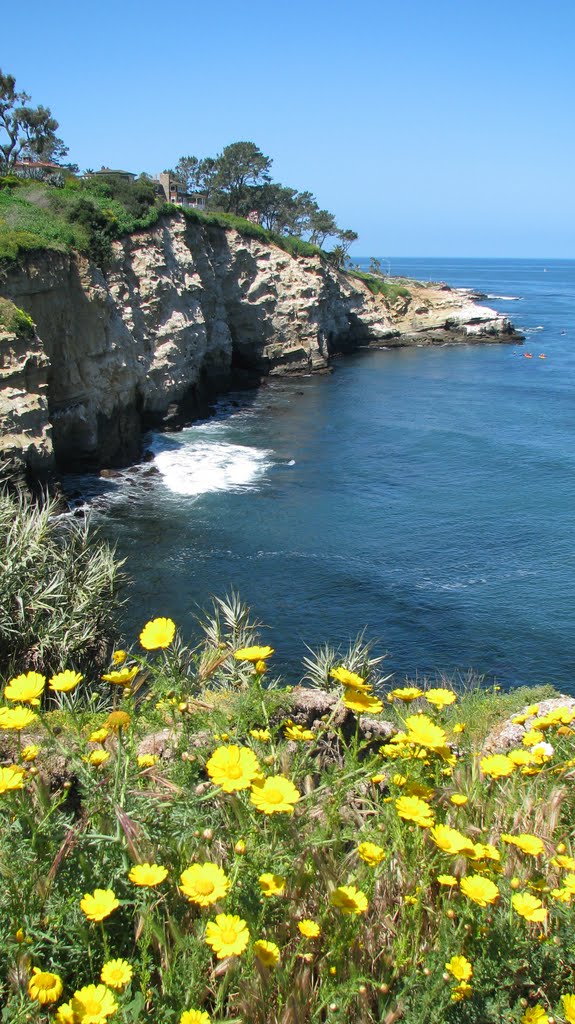 Coast Walk in Spring by Hoytjsmith