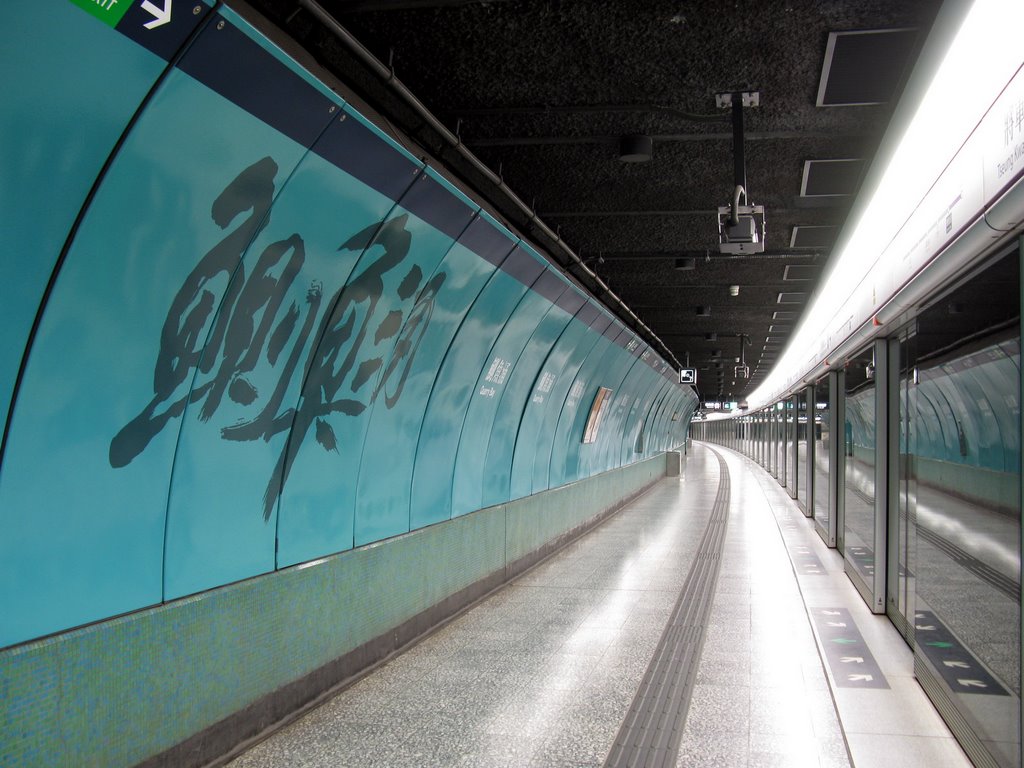 鰂魚涌站-將軍澳綫月台 Tseung Kwan O Line Platform of Quarry Bay Station by Baycrest