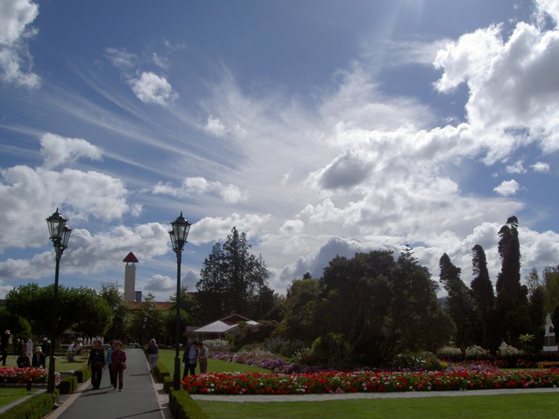 Looking towards Rotorua District Council Building by Bill Edwards