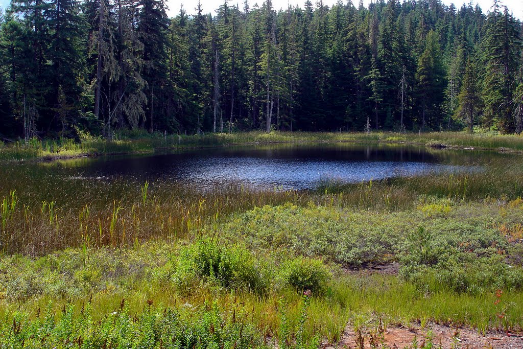 Little Lost lake from boardwalk by dawnzandstra