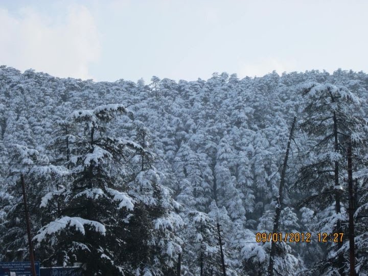 Shimla by gandharv singh