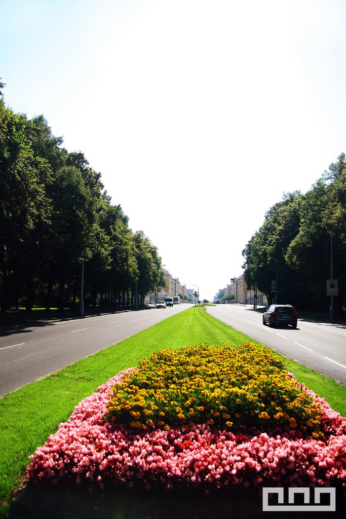 Květinová výzdoba hlavní třída směr centrum by Polehna Petr